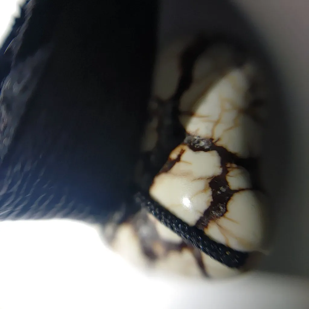 Tribal Necklace Black Tube Leather Stone White Leaf Beads Boho Statement Jewelry - Image 2