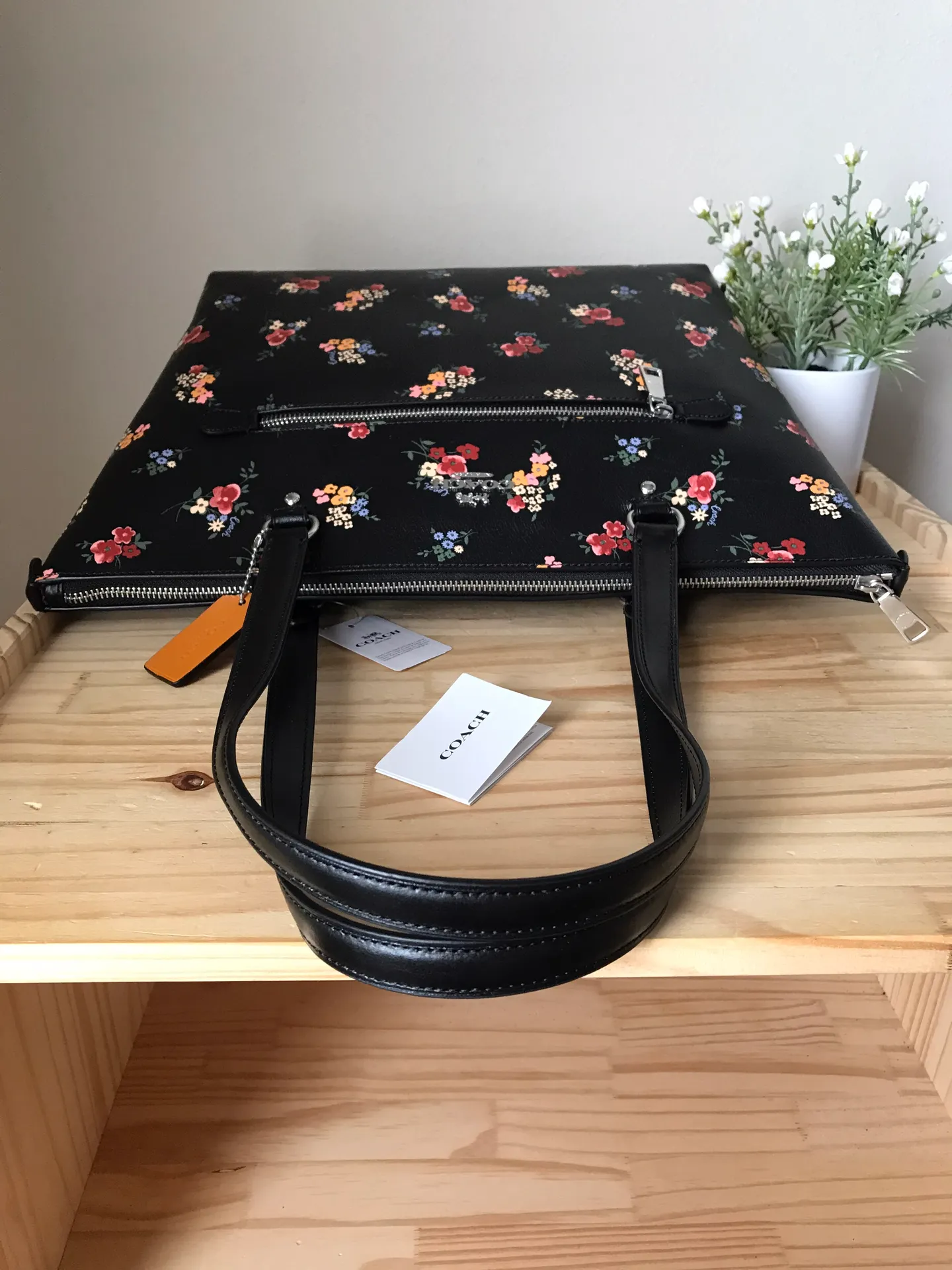 Coach Set - Image 11