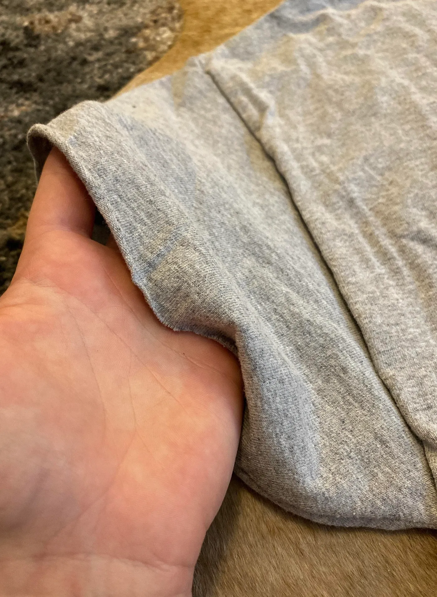 Champion Auburn Cropped Tee Shirt - Image 4