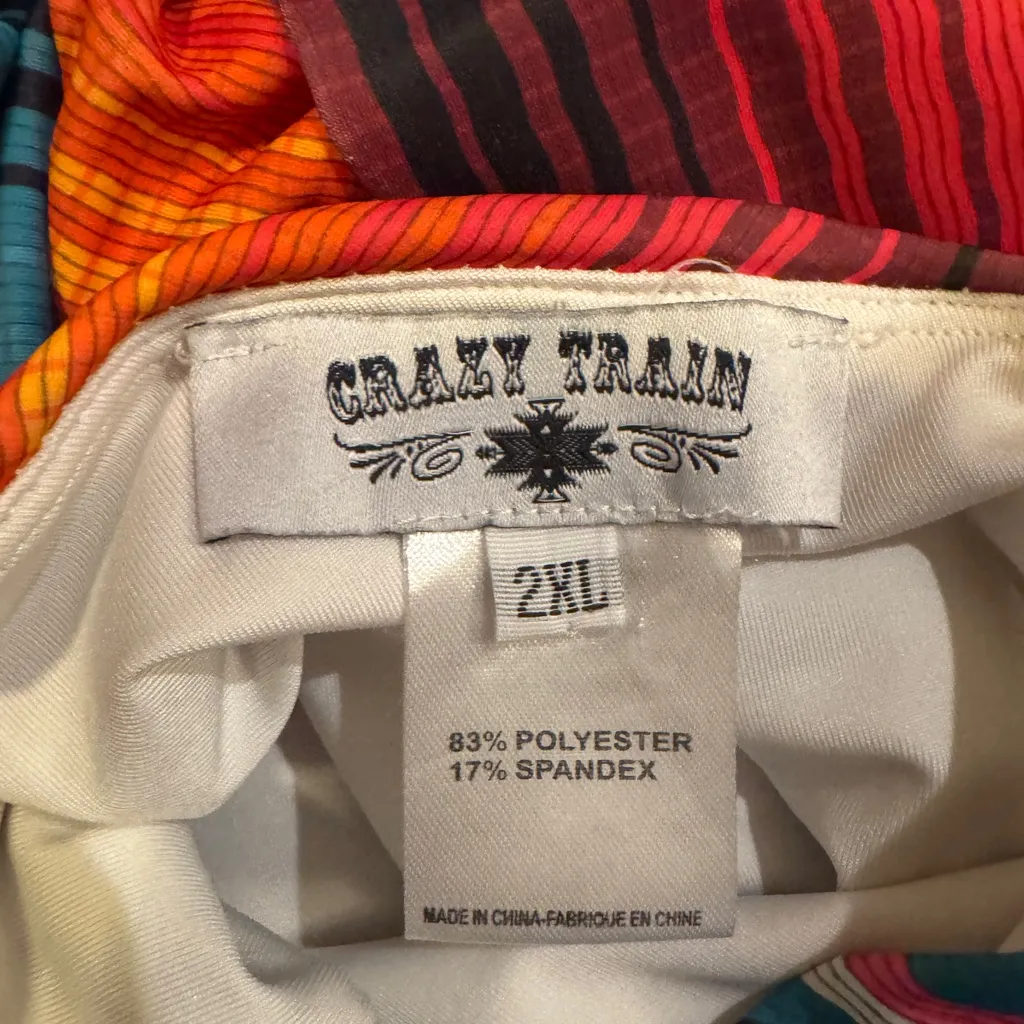 Crazy Train Multicolor Striped Swimsuit - Image 4