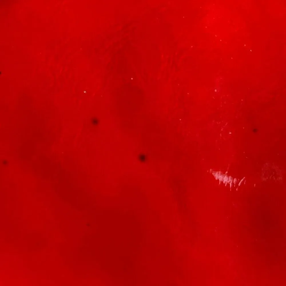 Plinio Visona Red Patent Leather Silver Chain Strap Crossbody Shoulder Bag - Image 13