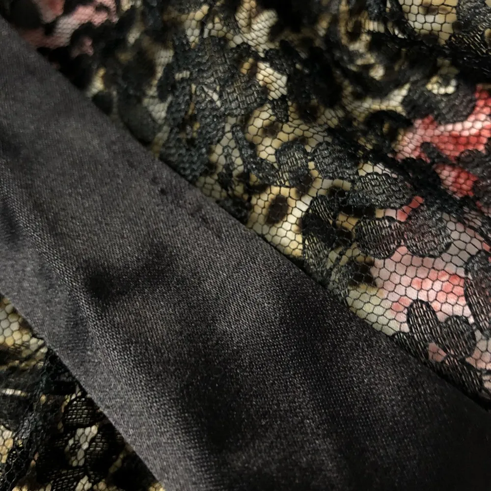 3/24 Wishes Wishes Wishes Lace Strapless Dress - Image 5