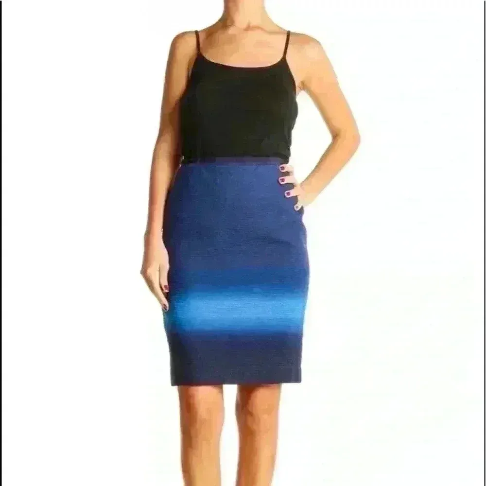 LOFT Ann Taylor Women's Blue‎ Ombre Brunch Pencil Office Skirt Lined Size 4P - Image 10