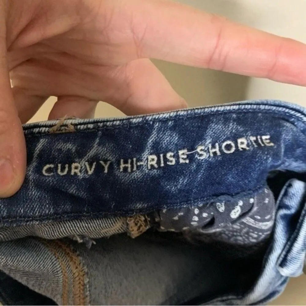 American Eagle Distressed Curvy Hi-Rise Shortie Jean Shorts Size 00 - Image 5