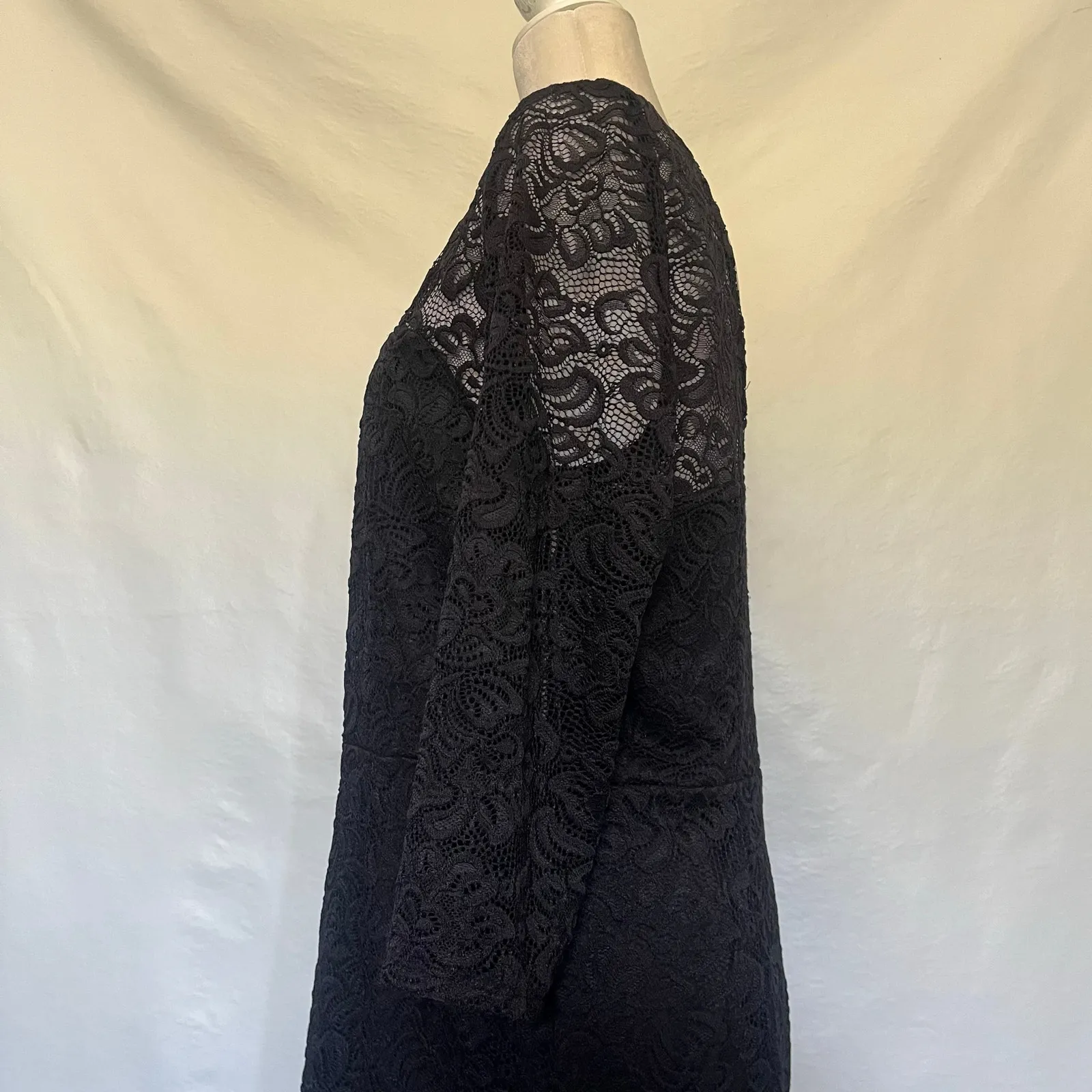 Bold Elements Lace Sheath Dress Sz XL Whimsigoth Witchy Gothic Formal  Romantic - Image 6