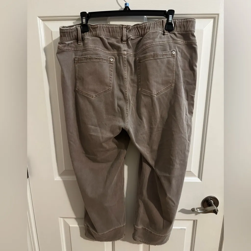 J.Jill Authentic Fit Cropped Jeans Raw Hem Tan Beechnut Plus Size 16 - Image 6