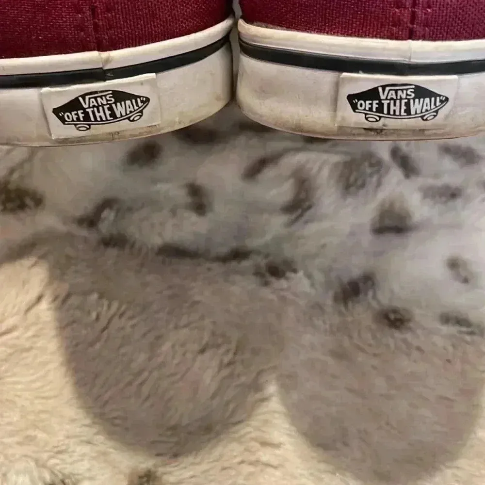 Van’s Sneakers - Image 7