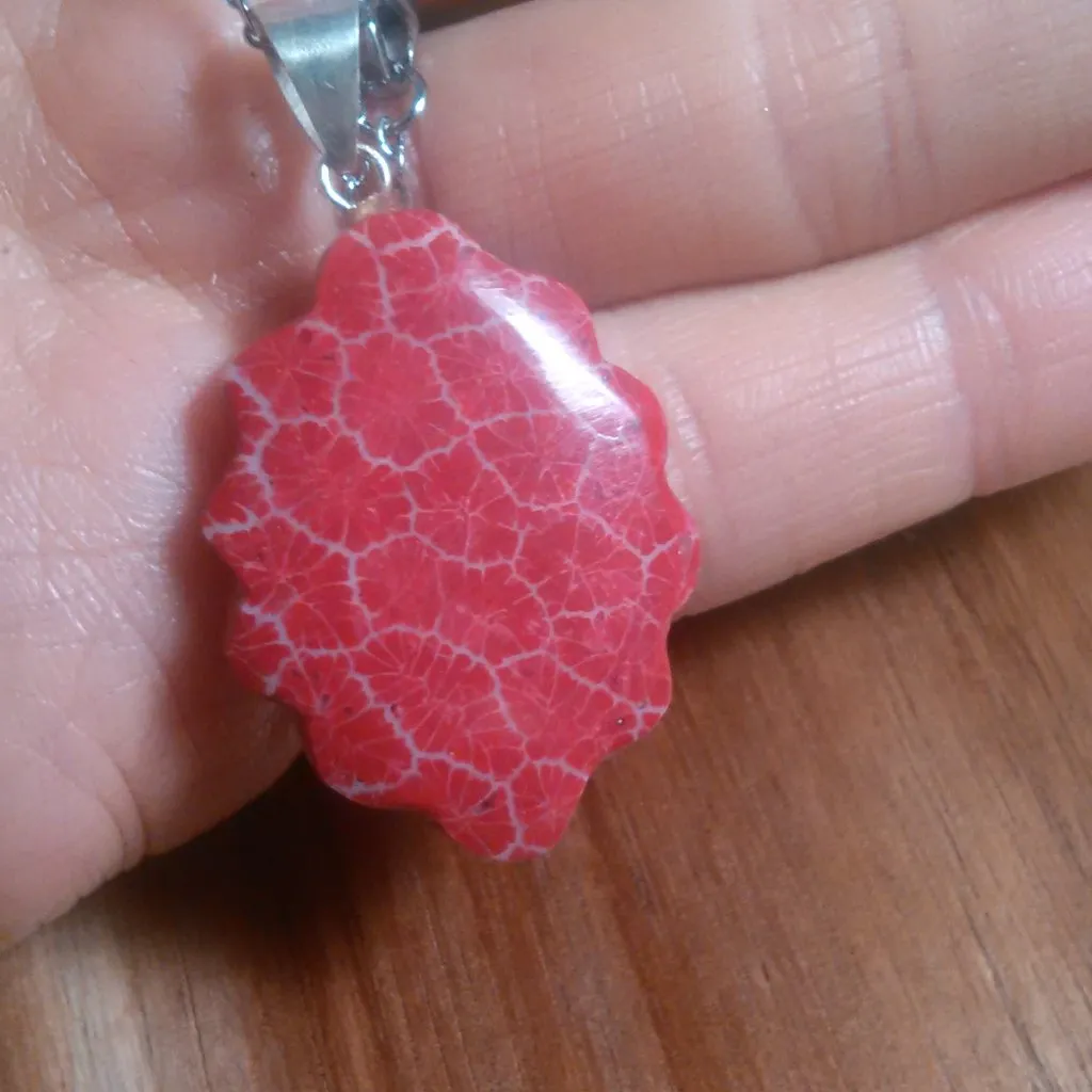 Fancy Shaped Red Sponge Coral Sterling Silver Pendant Stainless Steel Necklace - Image 8