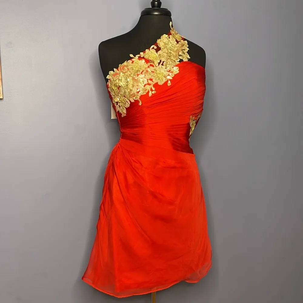 BRIDESS One Shoulder Pageant Prom Cocktail Dress w/ Gold Embroidery Size 4 Red - Image 3