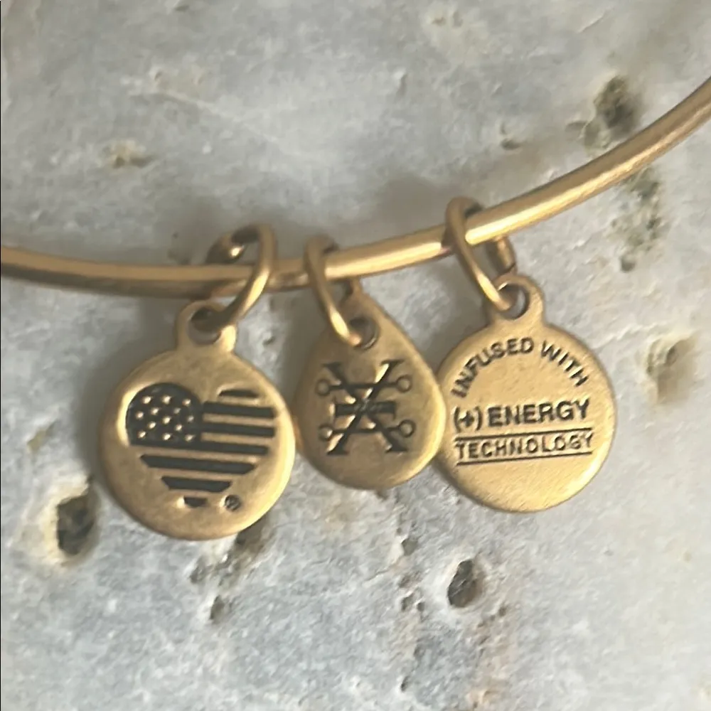 Alex and Ani Godspeed Charm Rafaelian Gold Tone Medallion Charm Bangle Bracelet - Image 3