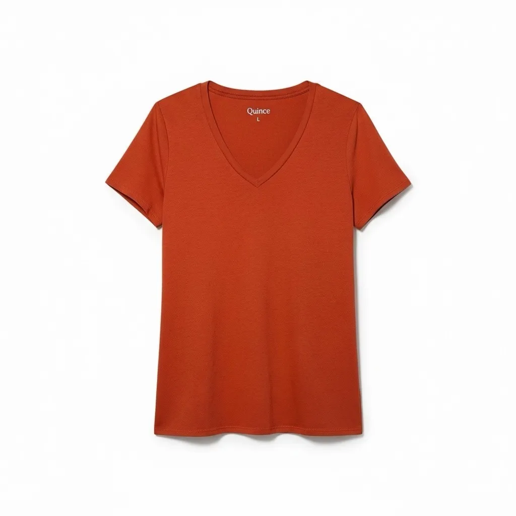 Quince Womens Terracotta Slung V-Neck Tee L Modal Cotton Minimalist Clean Girl - Image 2