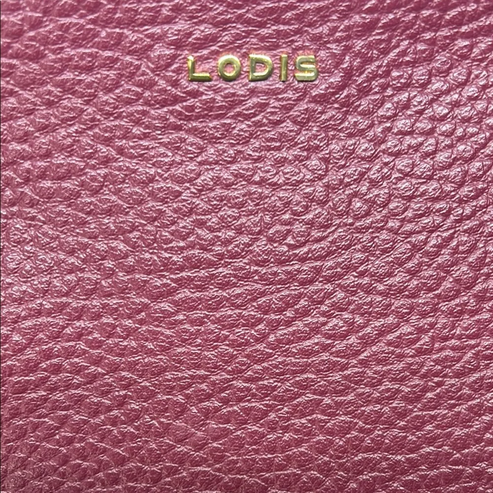 Lodis Red Leather Clutch with Gold Accents - Image 3