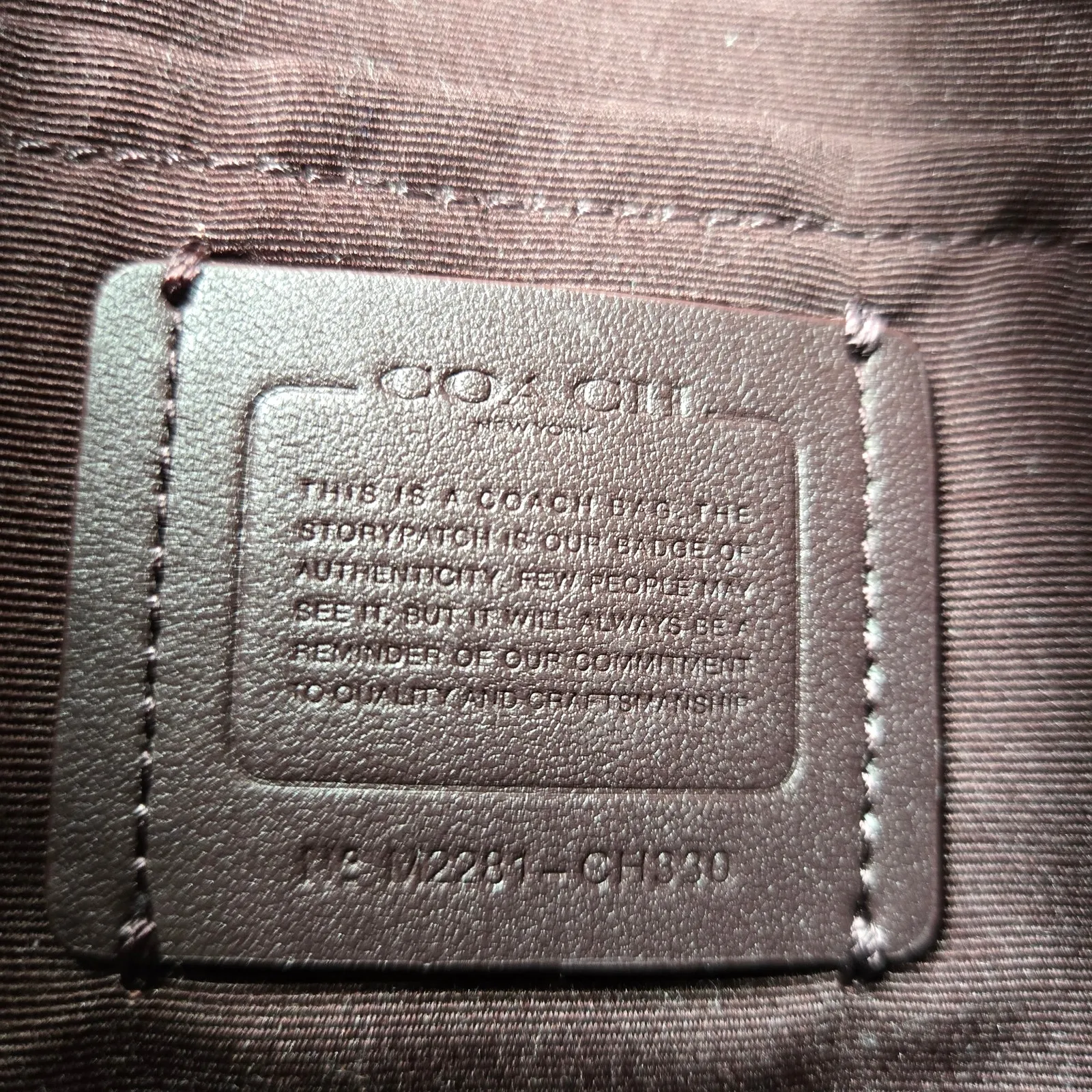 Coach Payton Small Hobo with Wild Strawberry Print CH330 - Image 3