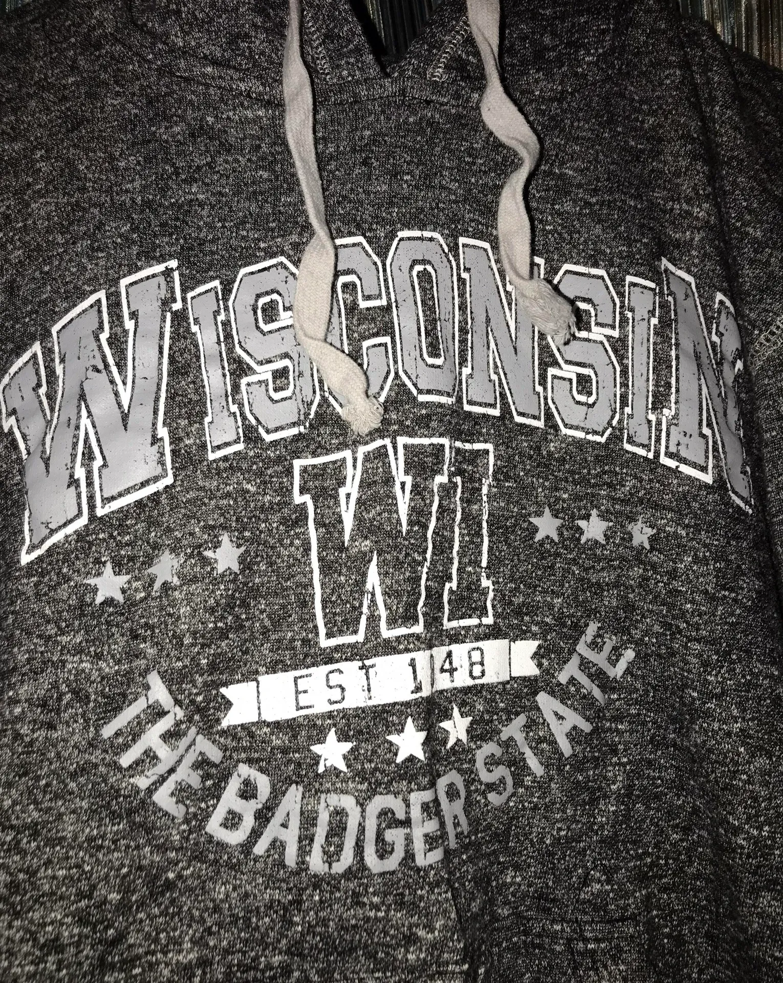 Wisconsin Hoodie Gray - Image 2