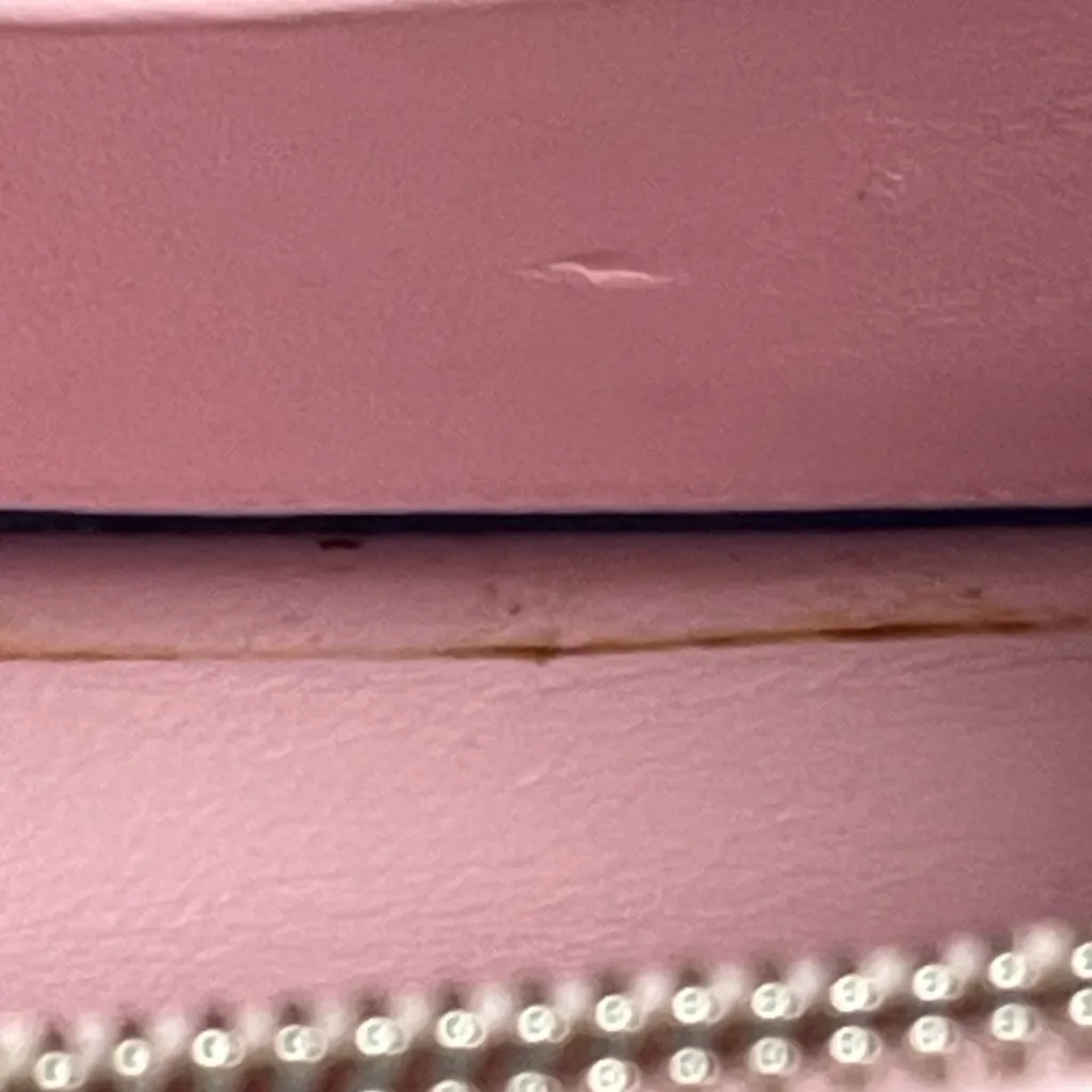 Christian Dior Miss Dior Promenade Heart Badge Wallet on a Chain - Preowned - Image 9