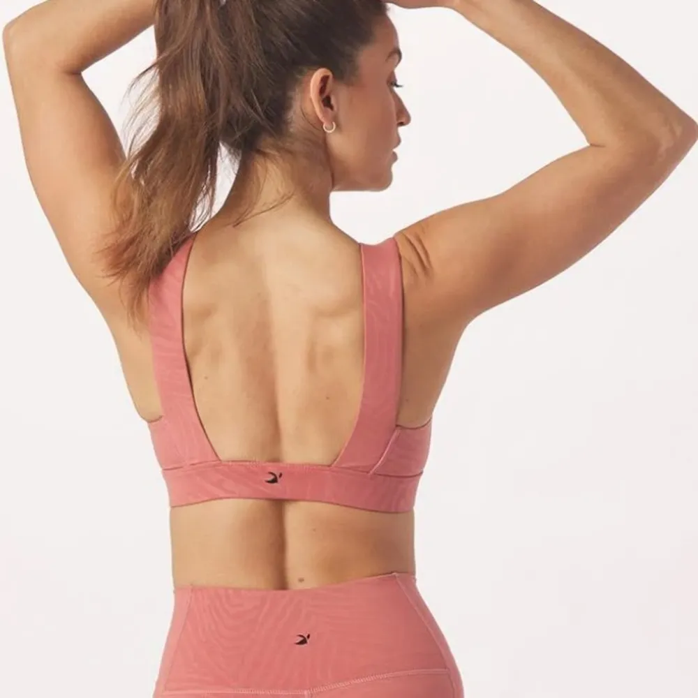 Glyder | Mauve Pink Clay Zebra Gloss Tide Sports Bra New - Image 23