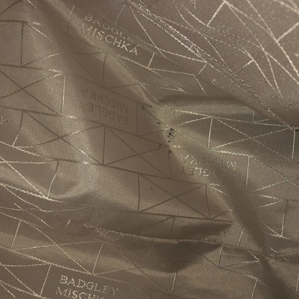 LAST CHANCE 💄 Badgley Mischka One Size Fits All Satchel with dust bag - Image 12