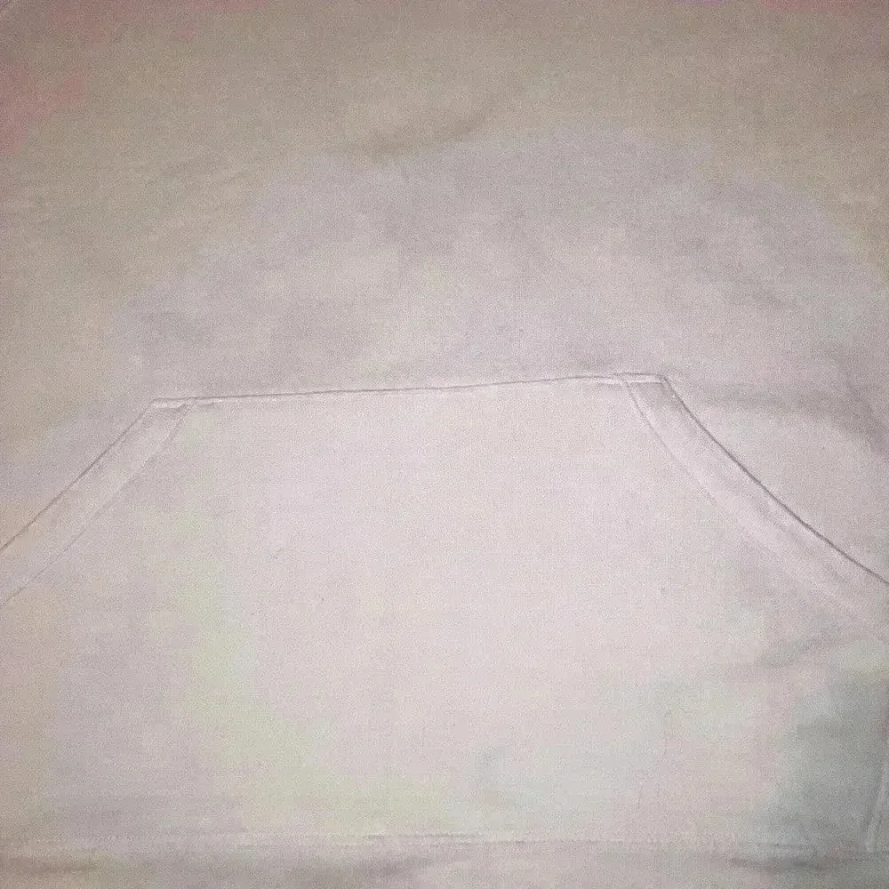 CHAMPION Hoodie Sweatshirt EUC size XL - Image 2