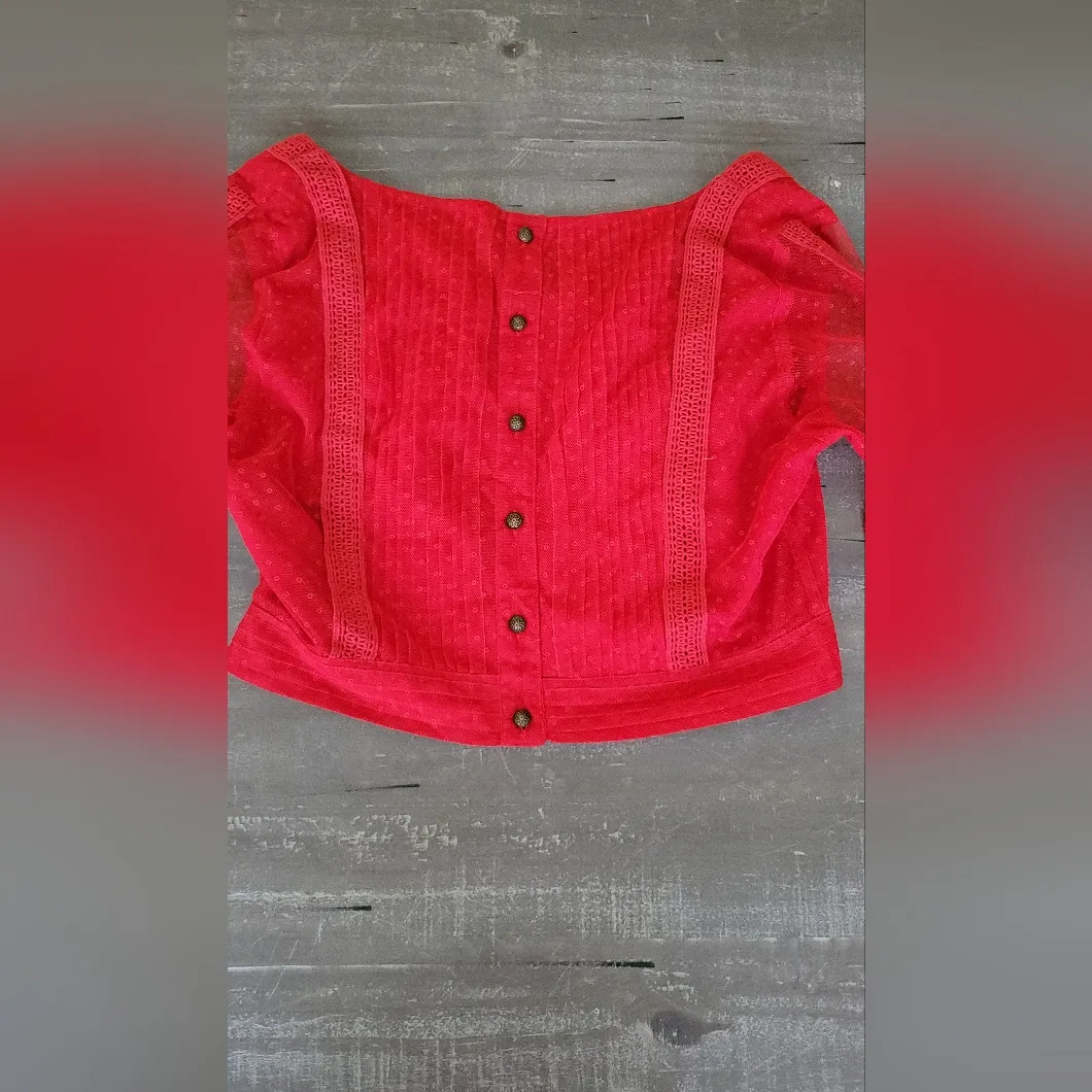 Anthropologie Dotted Tulle Crop Long Sleeve Blouse Size 10 - Image 11