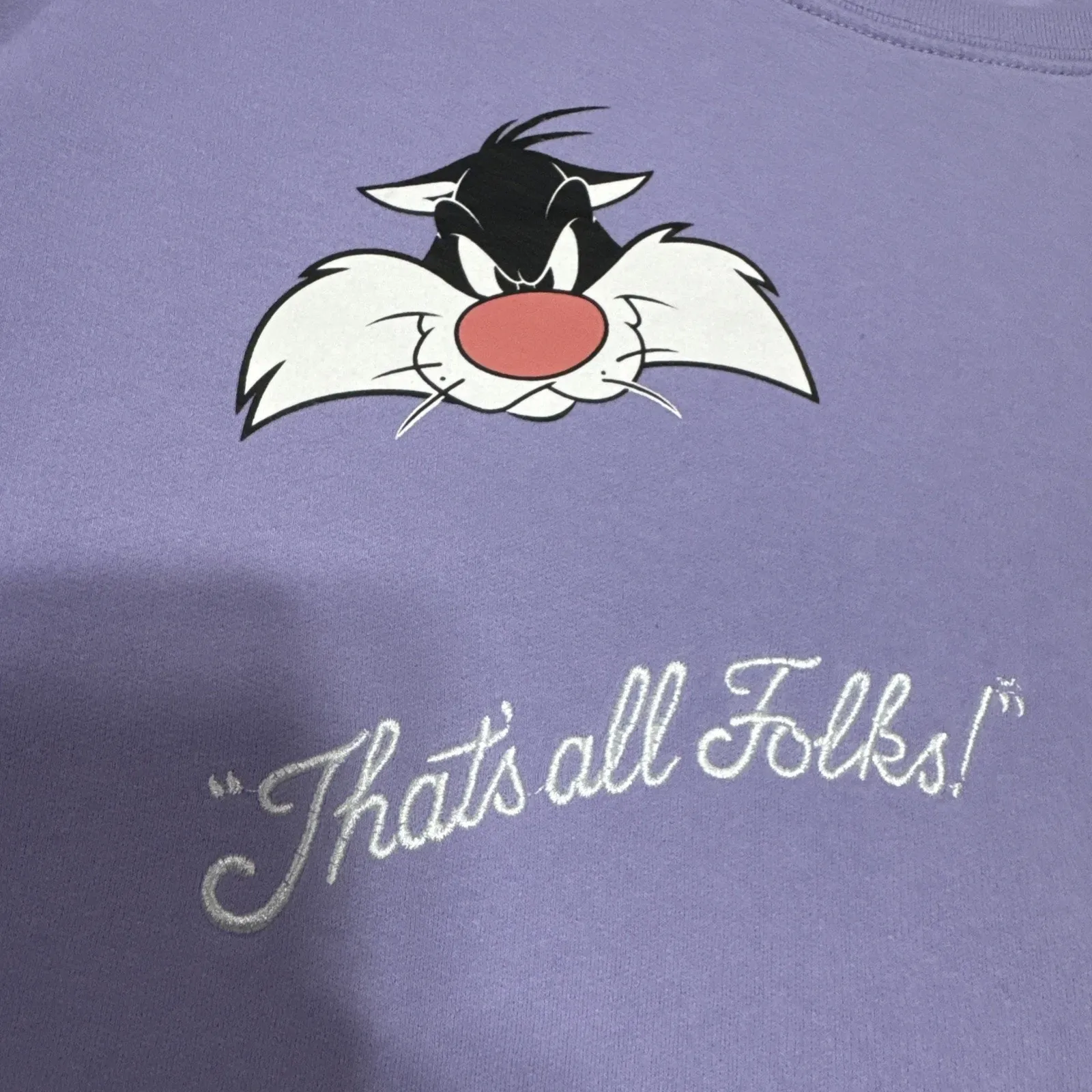 Looney Tunes Womens Juniors L Sweatshirt Embroidered That's All Folks Pullover - Image 4