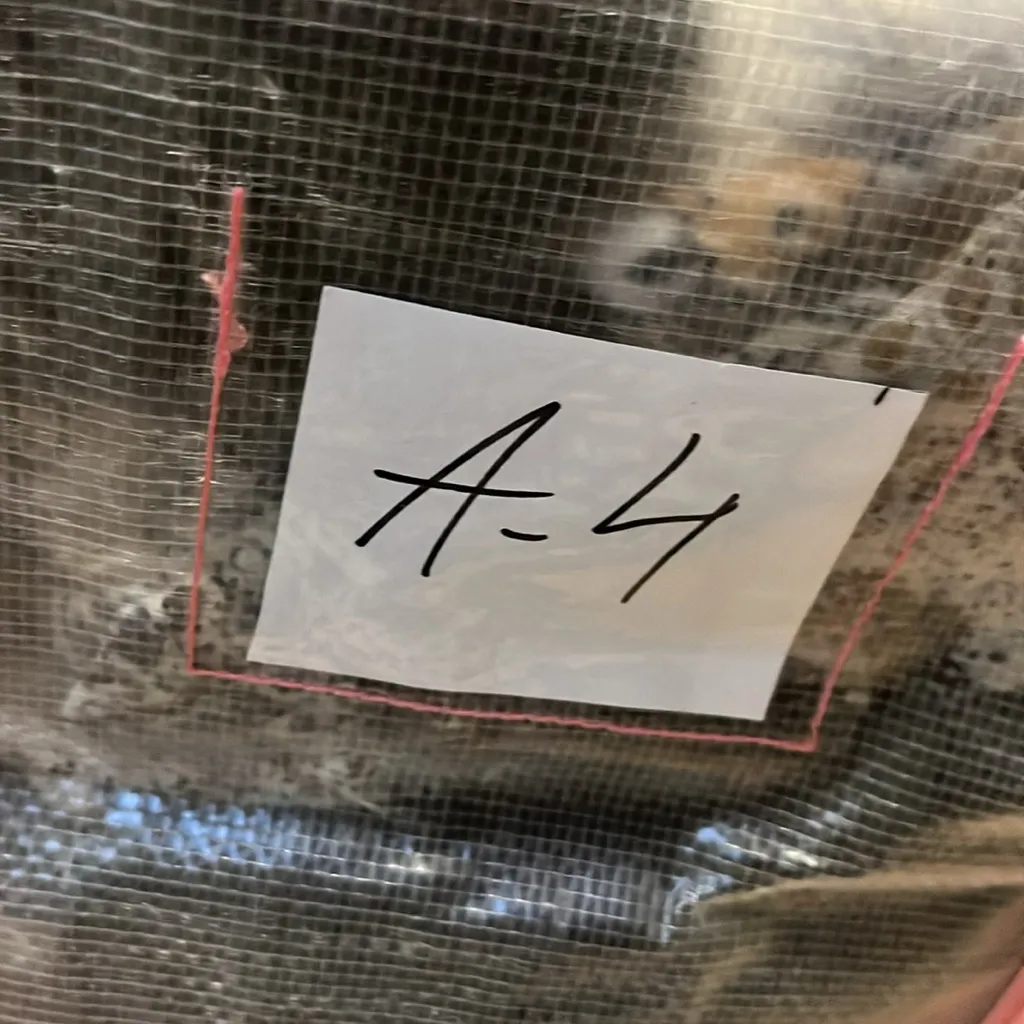 Western Style Horses Silk feel Scarf Pink - Image 9