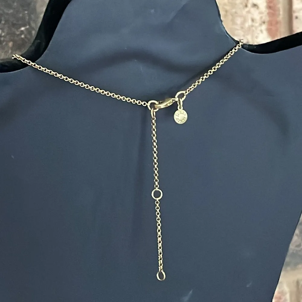 J. Crew Factory Tortoise Disc Pendant Necklace Gold - Image 4