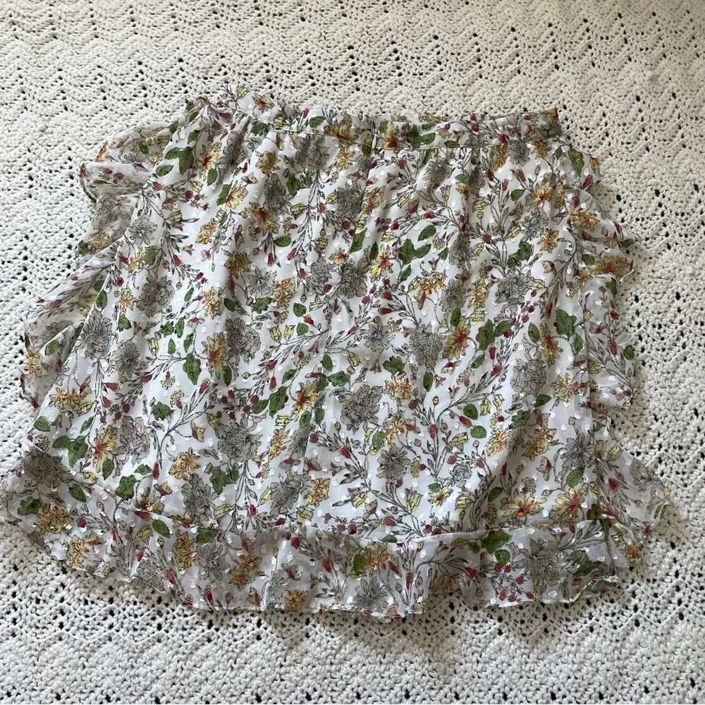 Walter Baker Ryder Floral Print Ruffle Swiss Dot Fabric Mini Skirt (Size 12) - Image 4
