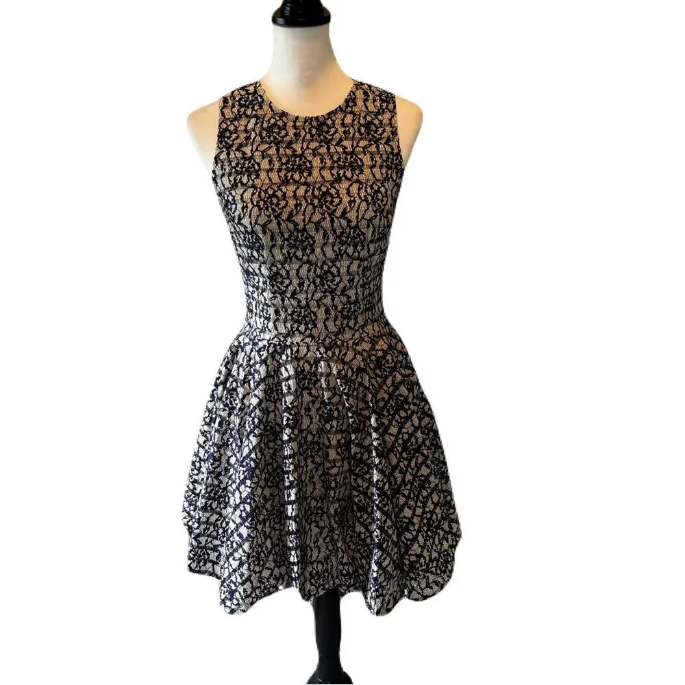 Madison Jules Fit and Flare Lace Dress Navy Blue and Beige | EUC | S - Image 2