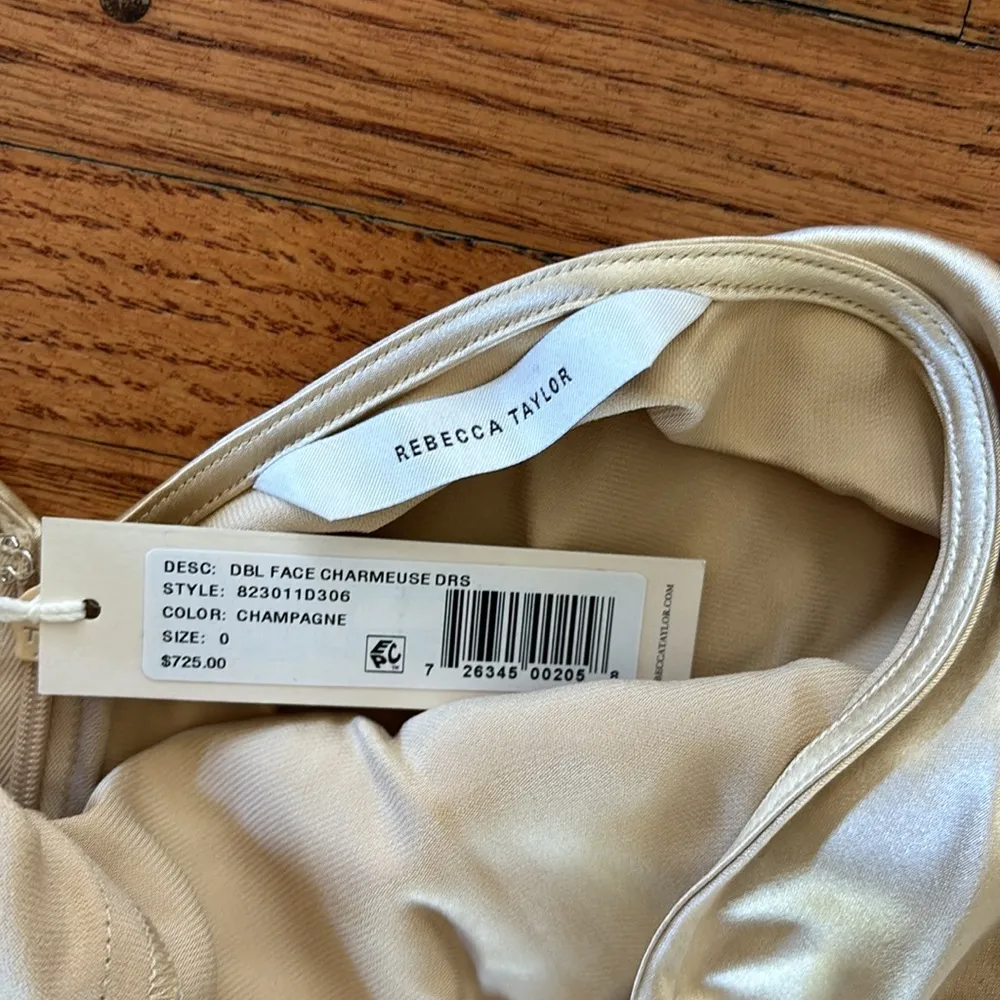 Rebecca Taylor Champagne Dress - Image 2