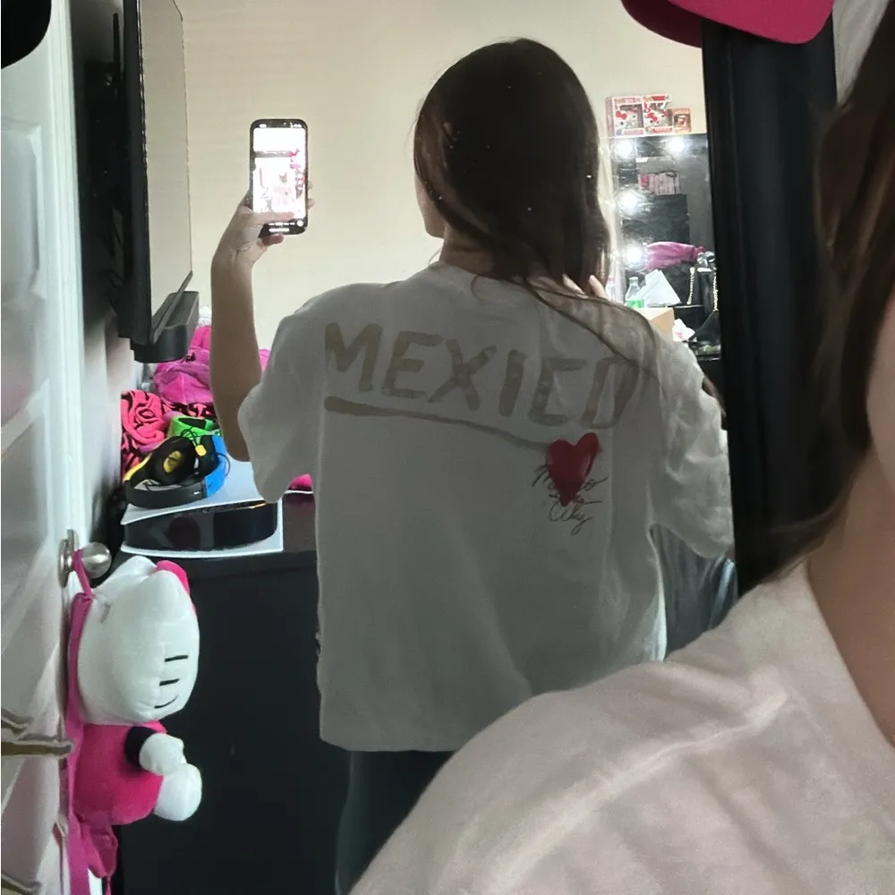 Aero Mexico crop - Image 2