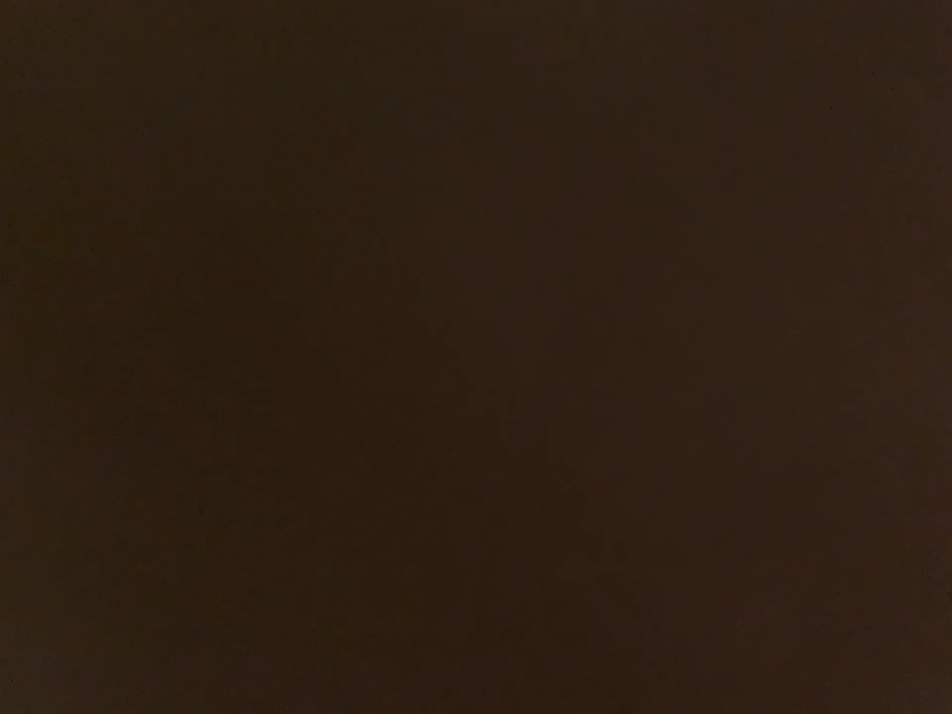 Vestique Black Skort - Image 5