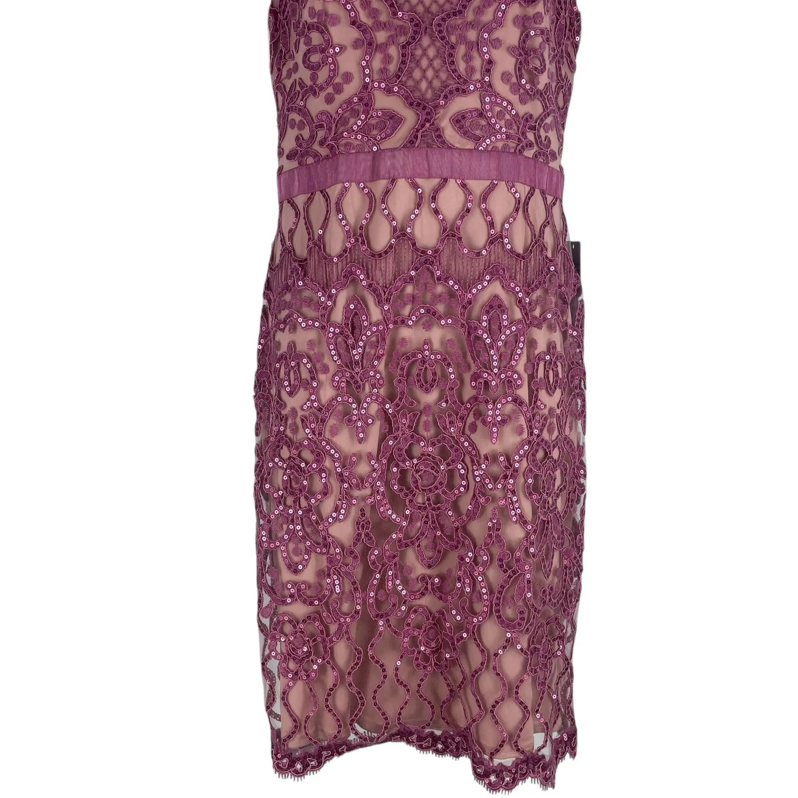Tadashi Shoji Miranda Sequin Embroidered Cocktail Dress Mauve Size 12 - Image 4