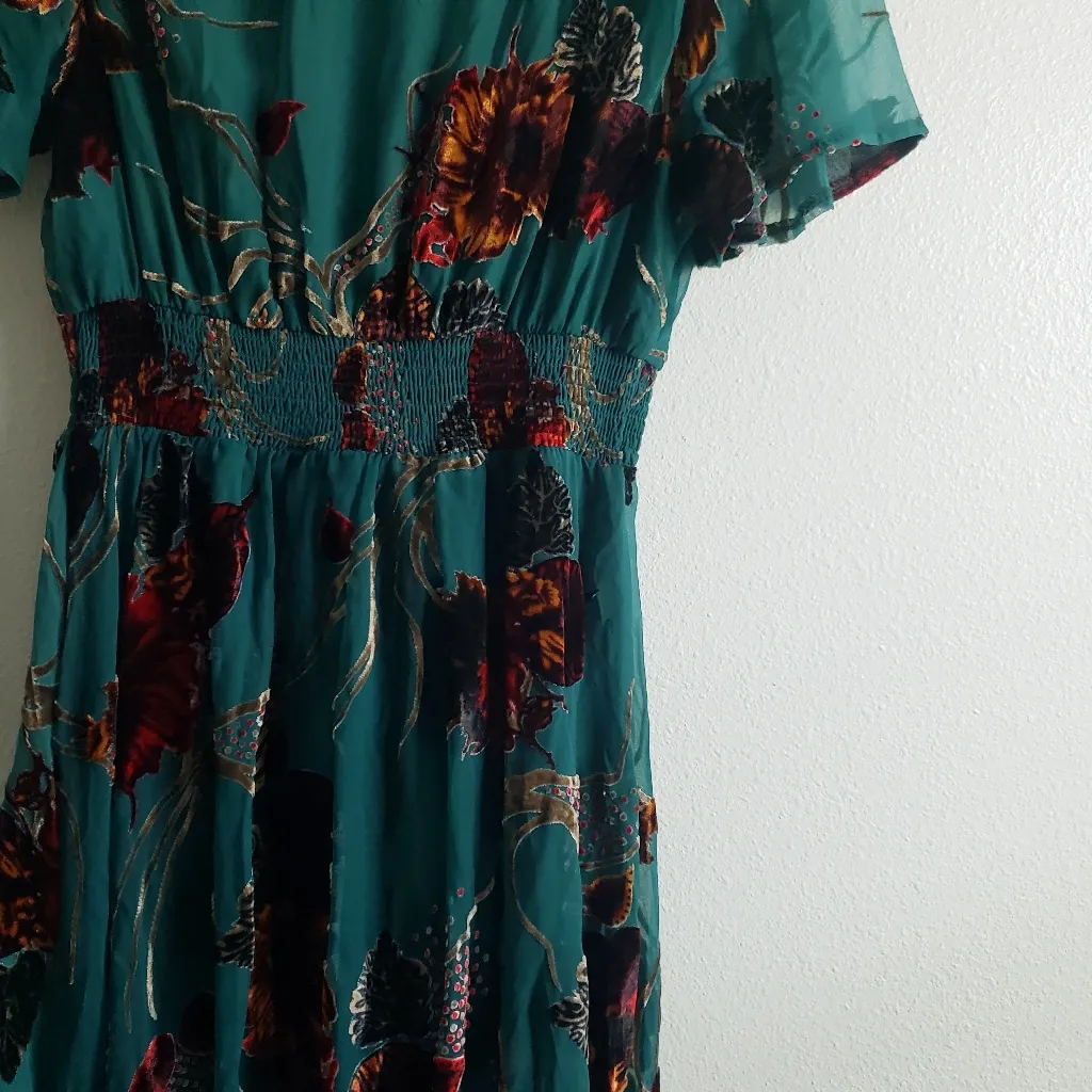 Baltic Born Valen Maxi Dress Velvet  New Without Tags - Image 8