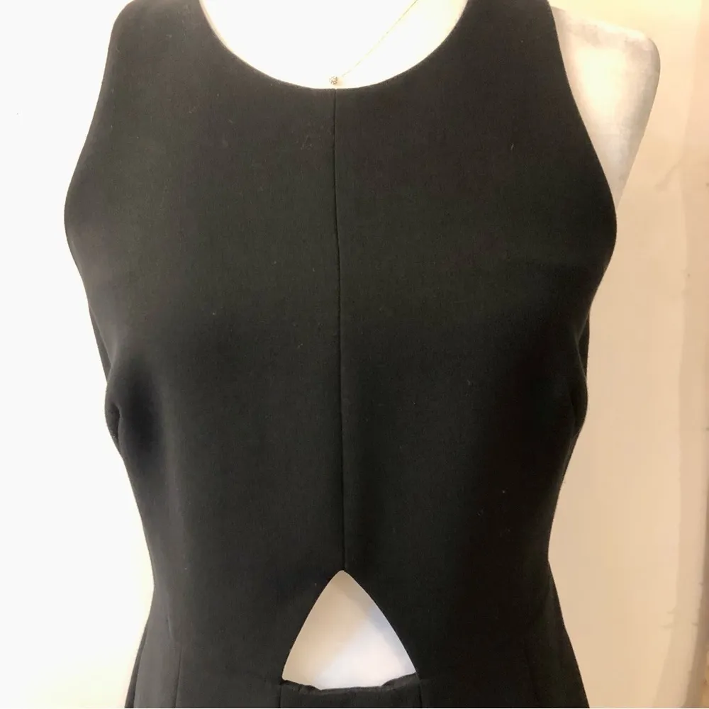 Club Monaco Lily Cut Out Fit & Flare Dress - Image 4