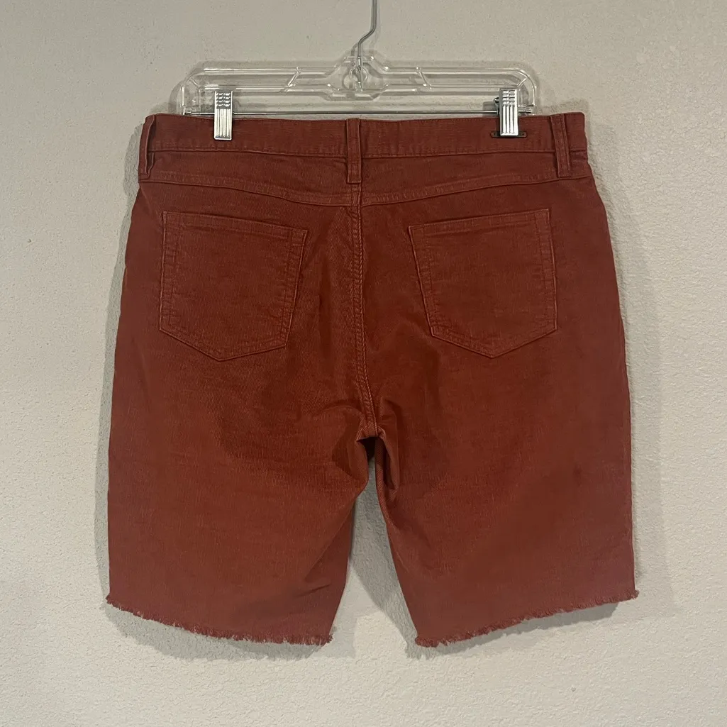 Carve Designs Oahu organic cotton stretch corduroy shorts 10” inseam size 10 - Image 3