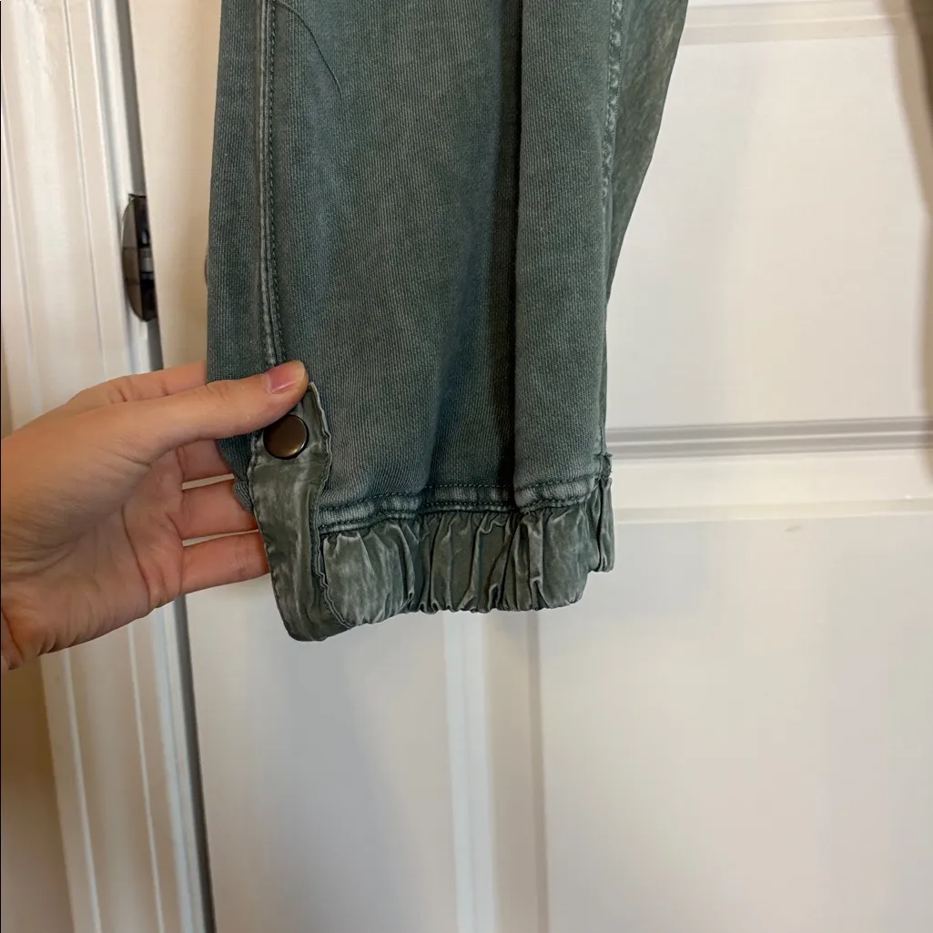 Daily Practice by Anthropologie Killington Pants XS green sweatpant jogger - Image 4