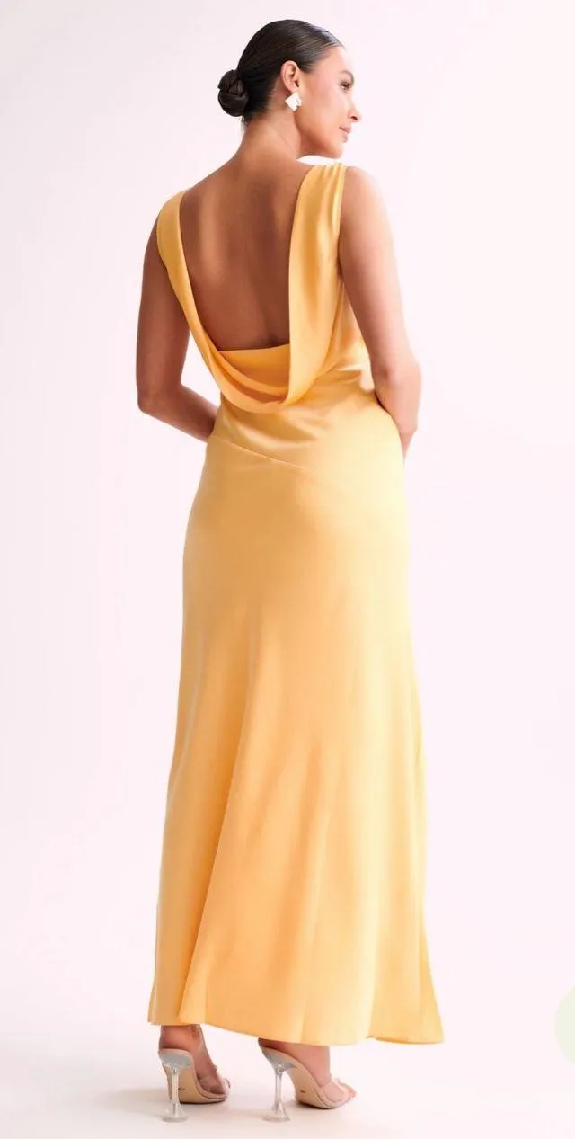 Meshki Dress Maxi - Image 3