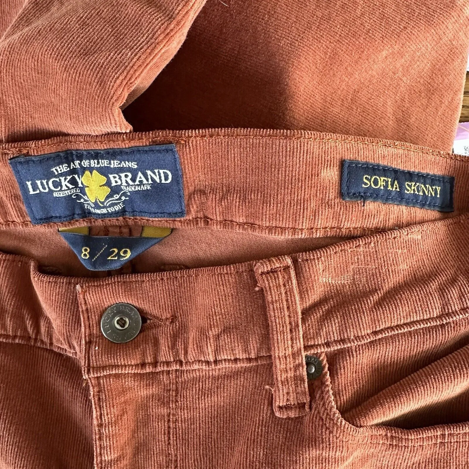 Lucky Brand Sofia Skinny Orange Corduroy Pants Size 8 / 29 - Image 6
