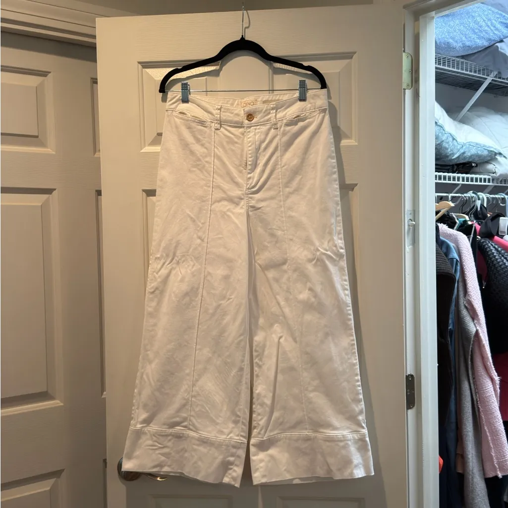 Anthropologie Pintucked Chino pants Excellent condition. Worn once. Size 8 - Image 6