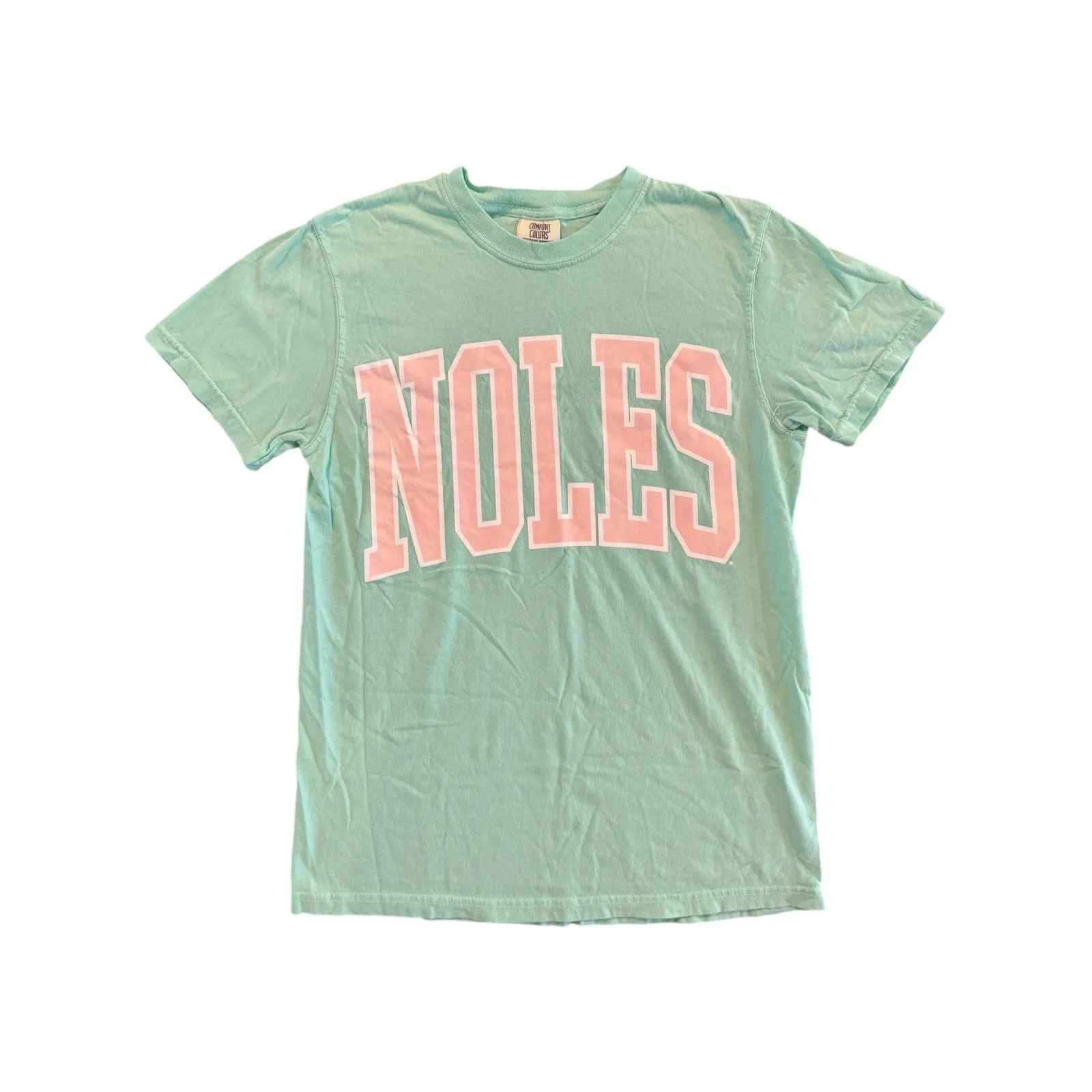 Comfort Colors NOLES Mint Green Pink Graphic Women’s Small FSU Seminoles Shirt - Image 3