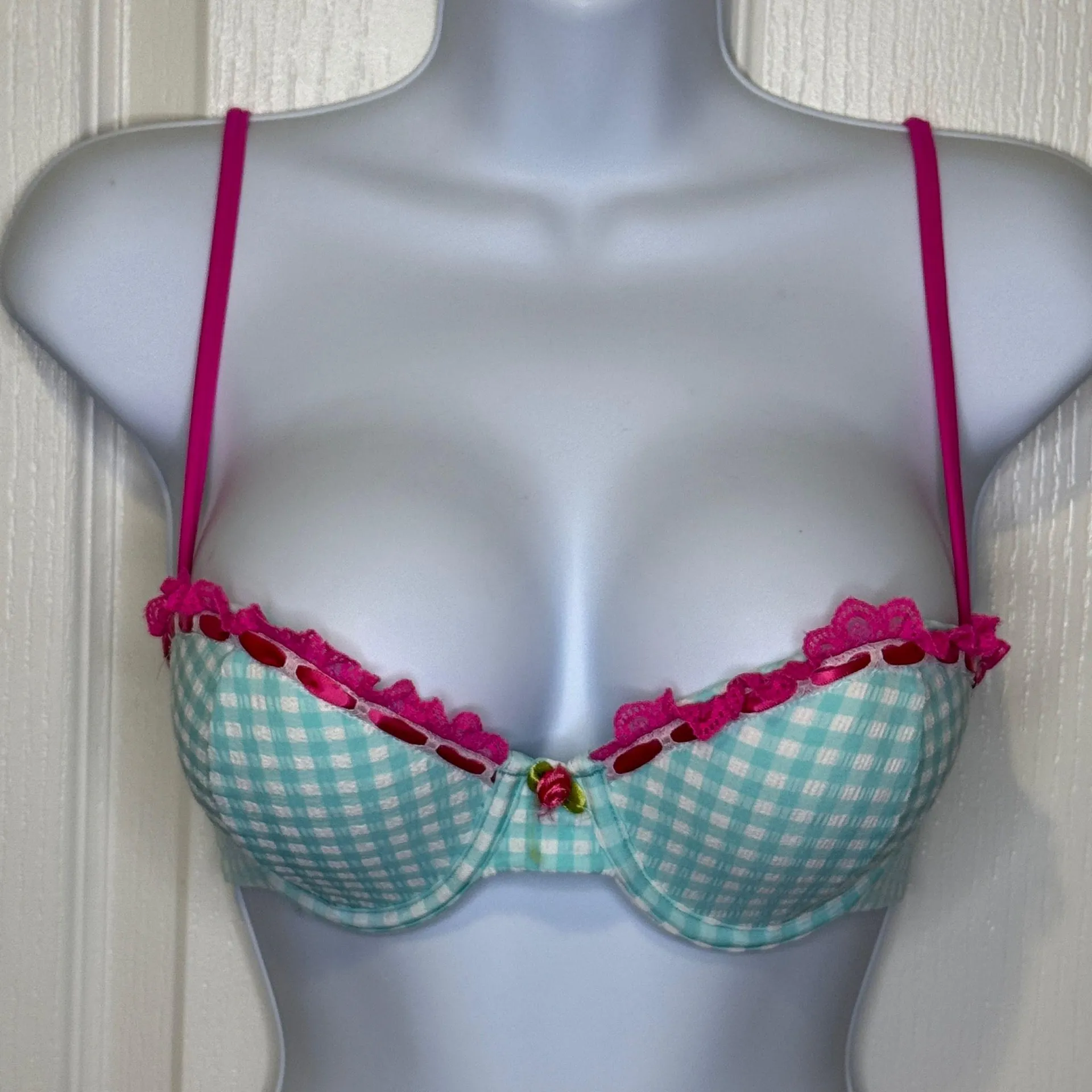 Beach Bunny Aqua Karissa Tango Bottom Pink and Aqua Blue Gingham Bikini Medium - Image 4