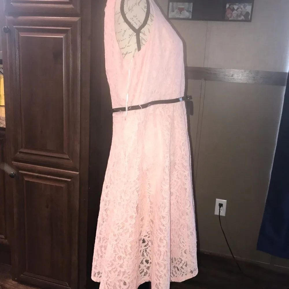 Ellie Size XL Pink Lace Dress with Black Belt - Image 13