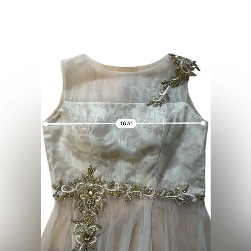 Women's Wedding/Party Dresses/Indian Traditional/Ethnic/ Dress/ Outfit/ Western - Image 11