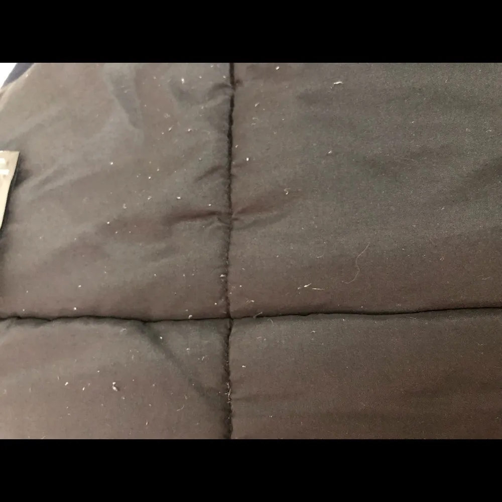 THE KOOPLES Raccoon Leather Navy Blue Parka XS - Image 5