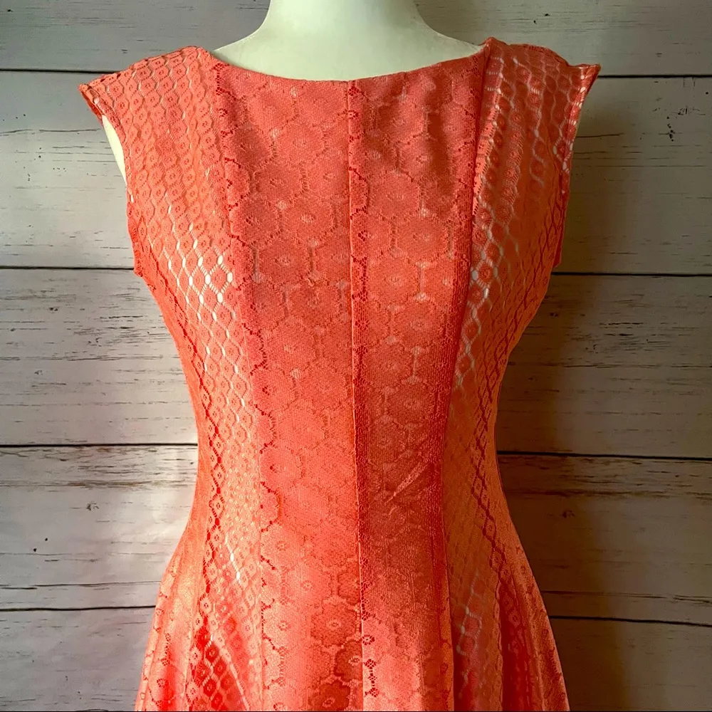 lace fit & flare dress - Image 3