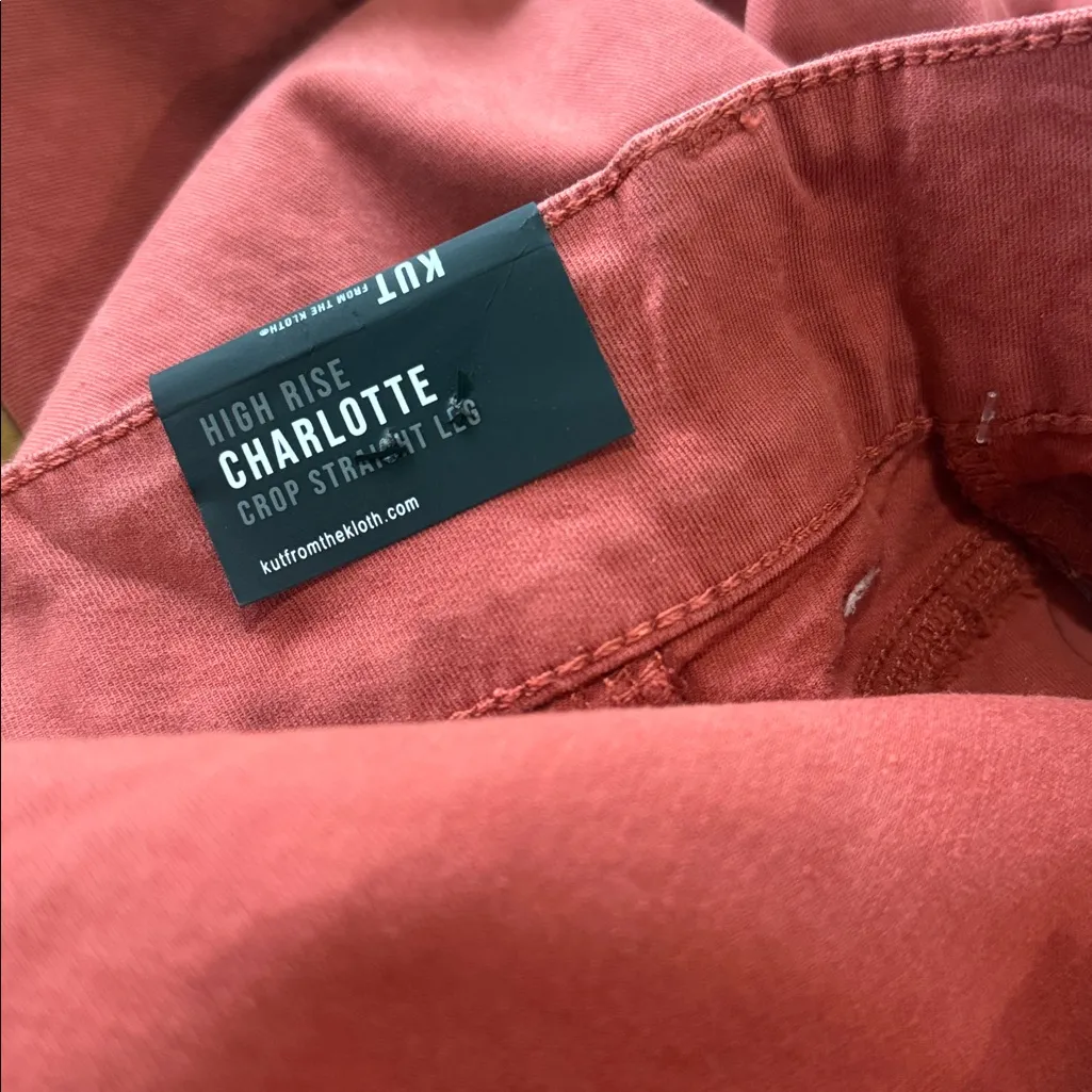 NWT KUT from the Kloth X Nordstrom High Waist Crop Wide Leg Pants  24W, CLAY - Image 9