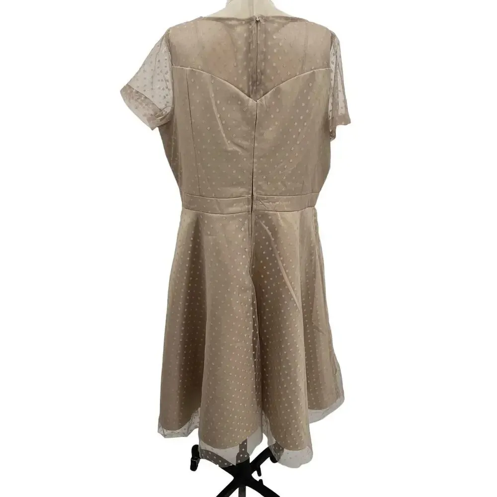 Lindy Bop Leona Almond Polka Dot‎ Mesh Prom Dress Beige Plus Size 3XL - Image 8