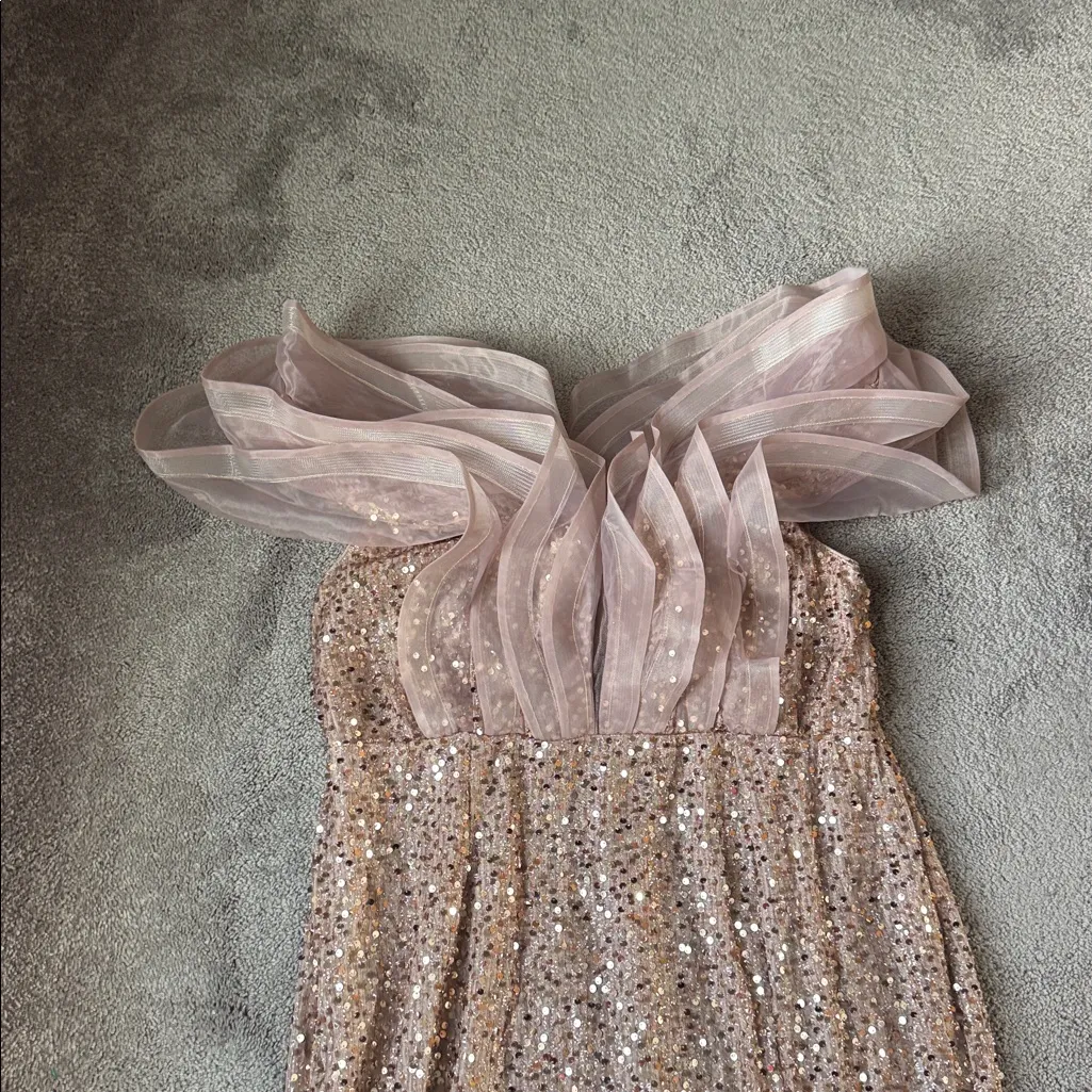 Faeriesty Rose Gold Sequin Dress SIZE 4XL Pink - Image 2