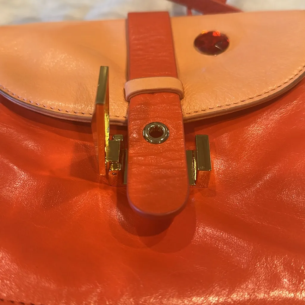 BADGLEY MISCHKA GORGEOUS ORANGE BAG - Image 6