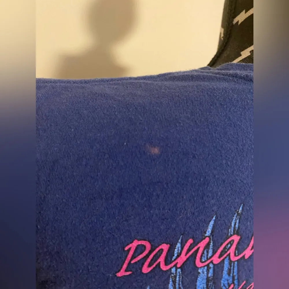 EUC Harley Davidson Blue & Purple Panama City Beach, Florida Graphic Tee size M - Image 3